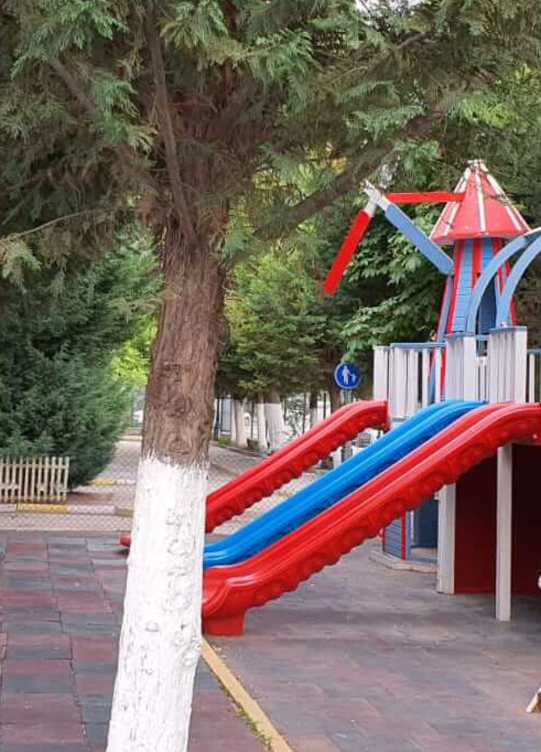 d599c5_88674b849bbc46bdabde081f69024617_mv2