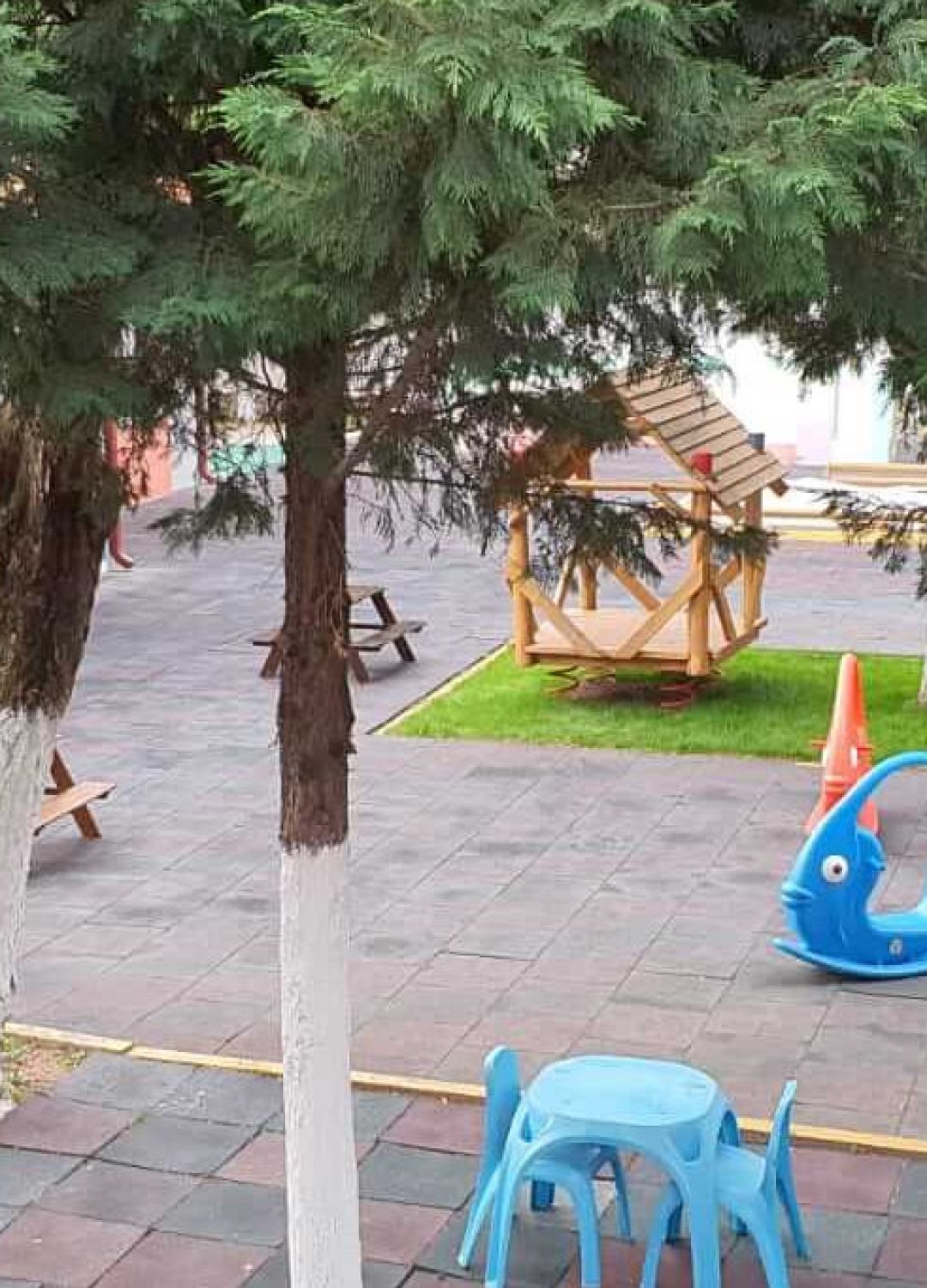 d599c5_9b6c8816ffea4899b7b63ba323d92729_mv2